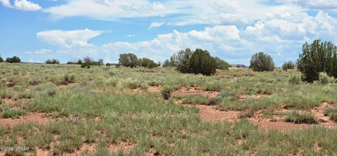 Tiny photo for TBD 22 AC, Snowflake, AZ 85937 (MLS # 262511)