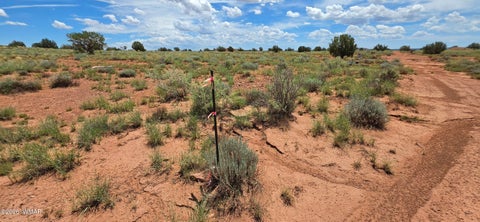 Tiny photo for TBD 22 AC, Snowflake, AZ 85937 (MLS # 262511)