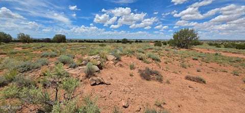 Tiny photo for TBD 22 AC, Snowflake, AZ 85937 (MLS # 262511)