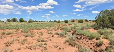 Tiny photo for TBD 22 AC, Snowflake, AZ 85937 (MLS # 262511)