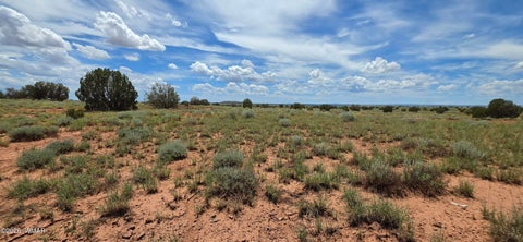 Tiny photo for TBD 22 AC, Snowflake, AZ 85937 (MLS # 262511)
