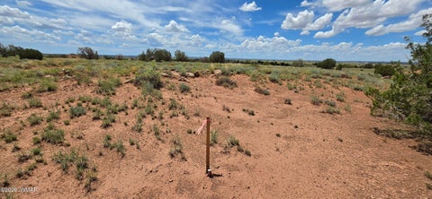 Photo of TBD 22 AC, Snowflake, AZ 85937 (MLS # 262511)