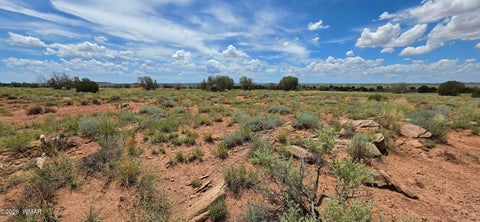 Tiny photo for TBD 22 AC, Snowflake, AZ 85937 (MLS # 262511)