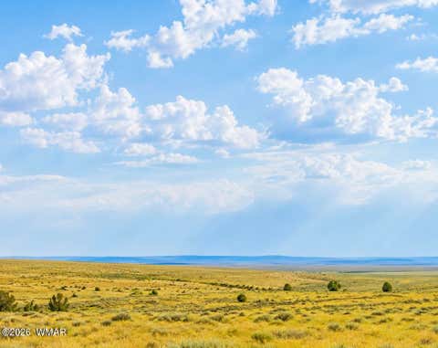 Photo of TBD 107-35-439/440 Concho Lakeland, Concho, AZ 85924 (MLS # 262052)