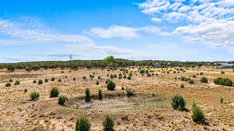 Tiny photo for TBD Old Homestead Road, Show Low, AZ 85901 (MLS # 259151)