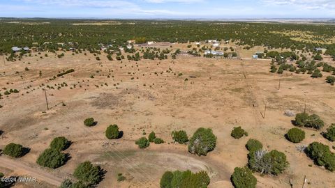 Tiny photo for TBD Old Homestead Road, Show Low, AZ 85901 (MLS # 259151)