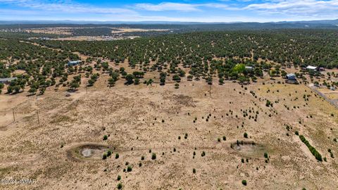Tiny photo for TBD Old Homestead Road, Show Low, AZ 85901 (MLS # 259151)