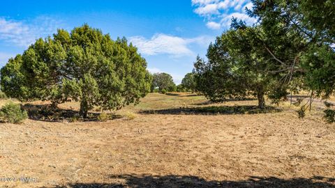 Tiny photo for TBD Old Homestead Road, Show Low, AZ 85901 (MLS # 259151)