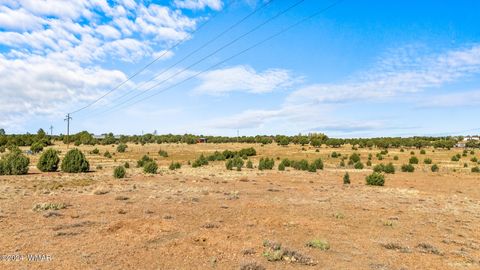 Tiny photo for TBD Old Homestead Road, Show Low, AZ 85901 (MLS # 259151)
