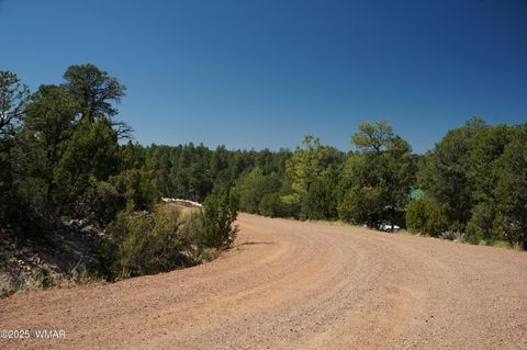 Tiny photo for 1988 Bradley Lane, Overgaard, AZ 85933 (MLS # 257984)