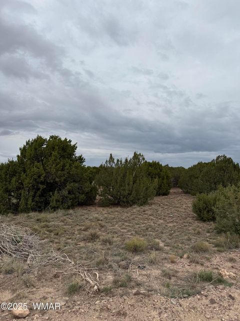 Photo of 55 County Road, Concho, AZ 85924 (MLS # 258295)