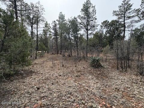 Tiny photo for 1721 S Knoll Trail, Show Low, AZ 85901 (MLS # 259586)
