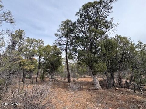 Tiny photo for 1721 S Knoll Trail, Show Low, AZ 85901 (MLS # 259586)
