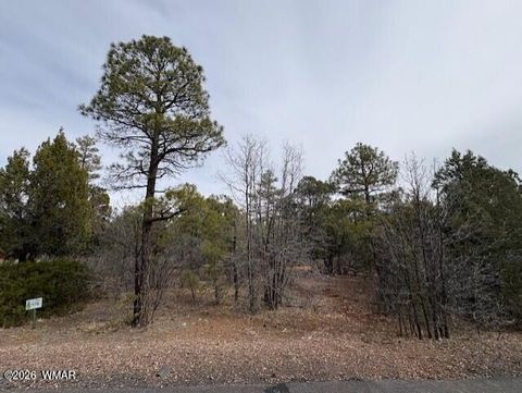 Photo of 1721 S Knoll Trail, Show Low, AZ 85901 (MLS # 259586)