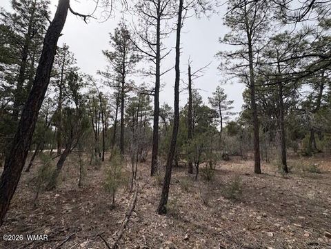 Tiny photo for 1721 S Knoll Trail, Show Low, AZ 85901 (MLS # 259586)