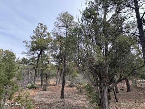 Tiny photo for 1721 S Knoll Trail, Show Low, AZ 85901 (MLS # 259586)