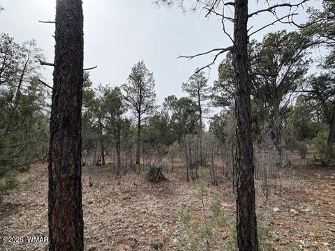 Tiny photo for 1721 S Knoll Trail, Show Low, AZ 85901 (MLS # 259586)