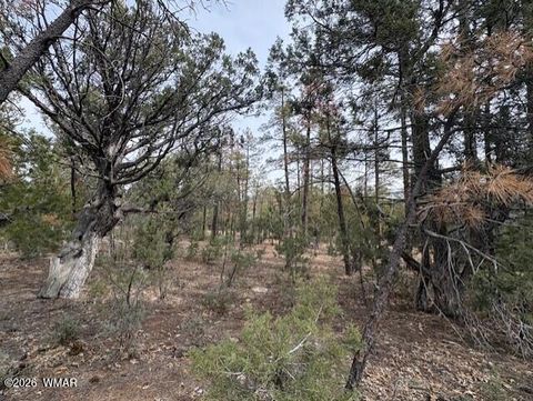 Tiny photo for 1721 S Knoll Trail, Show Low, AZ 85901 (MLS # 259586)