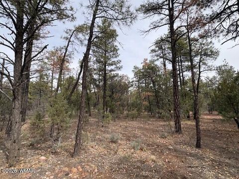 Tiny photo for 1721 S Knoll Trail, Show Low, AZ 85901 (MLS # 259586)