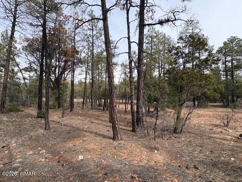 Tiny photo for 1721 S Knoll Trail, Show Low, AZ 85901 (MLS # 259586)