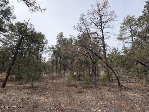 Tiny photo for 1721 S Knoll Trail, Show Low, AZ 85901 (MLS # 259586)