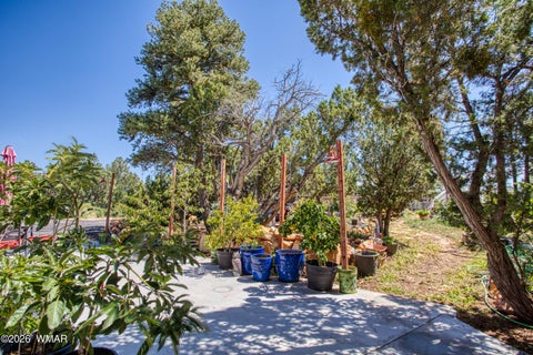 Tiny photo for 3336 Bear Heights Road, Heber, AZ 85928 (MLS # 262624)