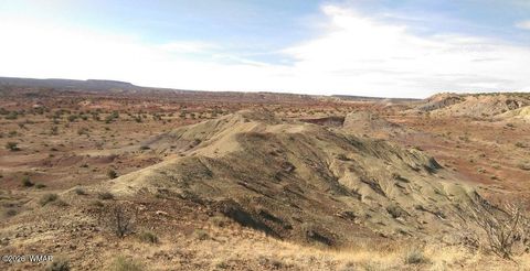 Photo of TBD Lot 407 N6726, Saint Johns, AZ 85936 (MLS # 259294)