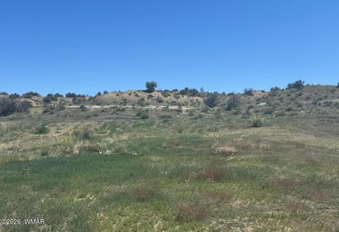 Tiny photo for TBD Lot 407 N6726, Saint Johns, AZ 85936 (MLS # 259294)