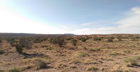 Tiny photo for TBD Lot 407 N6726, Saint Johns, AZ 85936 (MLS # 259294)