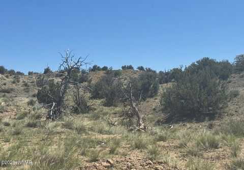 Tiny photo for TBD Lot 407 N6726, Saint Johns, AZ 85936 (MLS # 259294)
