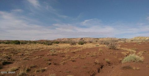 Tiny photo for TBD Lot 407 N6726, Saint Johns, AZ 85936 (MLS # 259294)