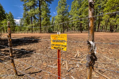 Tiny photo for 950 Cooper Lane, Lakeside, AZ 85929 (MLS # 259651)