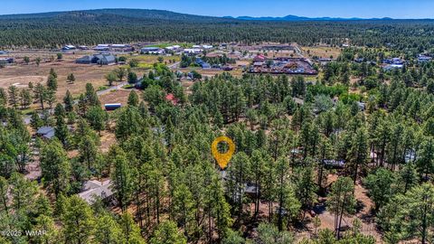 Tiny photo for 950 Cooper Lane, Lakeside, AZ 85929 (MLS # 259651)