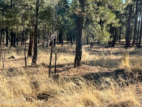 Tiny photo for Lot C County Road N2147, Alpine, AZ 85920 (MLS # 253920)