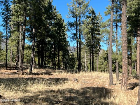 Photo of Lot C County Road N2147, Alpine, AZ 85920 (MLS # 253920) Photo of Lot C County Road N2147, Alpine, AZ 85920 (MLS # 253920)