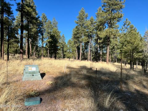 Tiny photo for Lot C County Road N2147, Alpine, AZ 85920 (MLS # 253920)