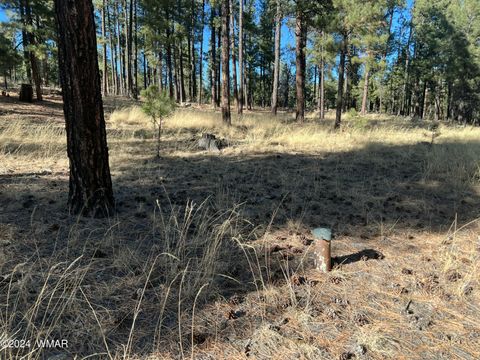 Tiny photo for Lot C County Road N2147, Alpine, AZ 85920 (MLS # 253920)