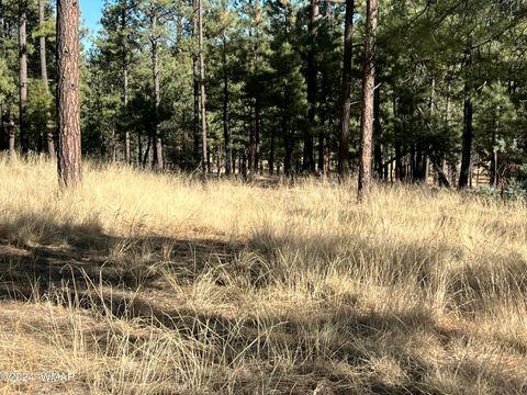 Tiny photo for Lot C County Road N2147, Alpine, AZ 85920 (MLS # 253920)