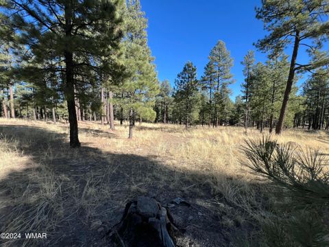 Tiny photo for Lot C County Road N2147, Alpine, AZ 85920 (MLS # 253920)