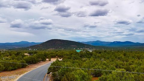 Tiny photo for 50 Winchester (3151) Boulevard, Vernon, AZ 85940 (MLS # 256431)