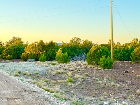Tiny photo for 50 Winchester (3151) Boulevard, Vernon, AZ 85940 (MLS # 256431)
