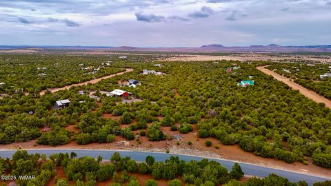 Tiny photo for 50 Winchester (3151) Boulevard, Vernon, AZ 85940 (MLS # 256431)