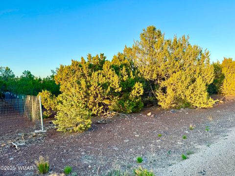 Tiny photo for 50 Winchester (3151) Boulevard, Vernon, AZ 85940 (MLS # 256431)