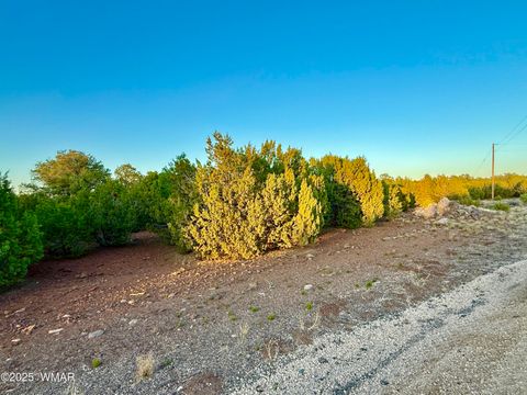 Tiny photo for 50 Winchester (3151) Boulevard, Vernon, AZ 85940 (MLS # 256431)