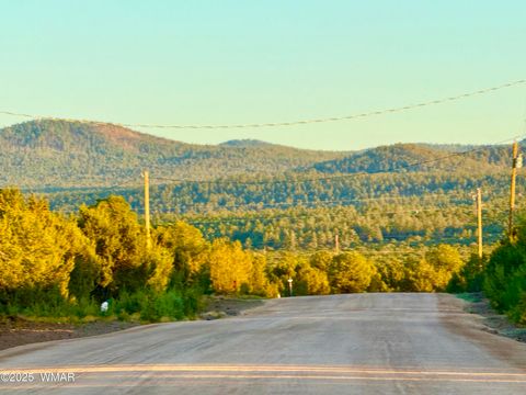Photo of 50 Winchester (3151) Boulevard, Vernon, AZ 85940 (MLS # 256431)