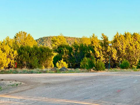 Tiny photo for 50 Winchester (3151) Boulevard, Vernon, AZ 85940 (MLS # 256431)
