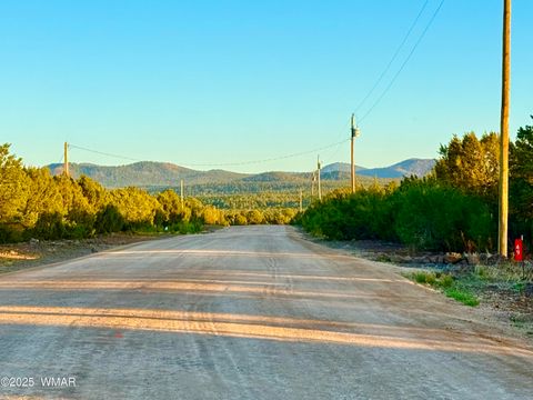 Tiny photo for 50 Winchester (3151) Boulevard, Vernon, AZ 85940 (MLS # 256431)