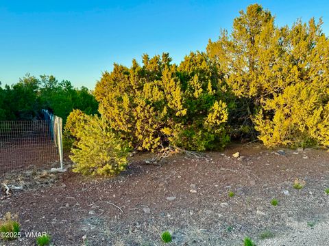 Tiny photo for 50 Winchester (3151) Boulevard, Vernon, AZ 85940 (MLS # 256431)