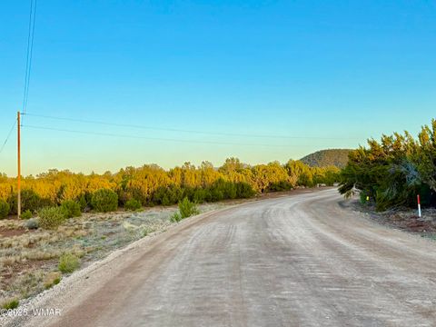 Tiny photo for 50 Winchester (3151) Boulevard, Vernon, AZ 85940 (MLS # 256431)