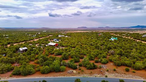 Tiny photo for 50 Winchester (3151) Boulevard, Vernon, AZ 85940 (MLS # 256431)